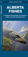 Alberta Fishes: A Folding Pocket Guide to All Known Native and Introduced Species 1620054183 Book Cover