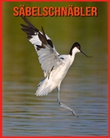 Säbelschnäbler: Lustige Fakten und erstaunliche Fotos von Tieren in der Natur B08WS992H2 Book Cover