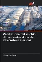 Valutazione del rischio di contaminazione da idrocarburi e azioni 6205760827 Book Cover