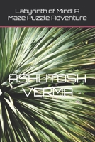 Labyrinth of Mind: A Maze Puzzle Adventure B0CRPXYCHY Book Cover