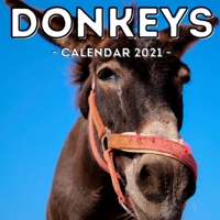 Donkeys Calendar 2021: 16-Month Calendar, Cute Gift Idea For Donkey Lovers Women & Men B0948JWTQZ Book Cover