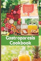 The Easy Gastroparesis Cookbook: Easy to digest nutritious meals and drinks for managing delayed gastric emptying B0C1JJRG7L Book Cover