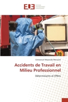 Accidents de Travail en Milieu Professionnel 6203411736 Book Cover