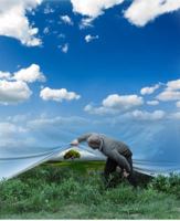 Waiting for Today 0989284794 Book Cover