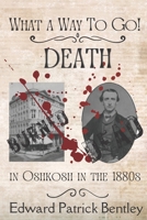 What a Way to Go: Death in Oshkosh in the 1880s B0BCS7DJ5G Book Cover