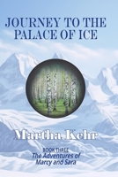 Journey to the Palace of Ice: The Adventures of Marcy and Sara 1460984439 Book Cover