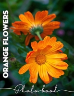 Orange Flowers Photo Book: Delightful Collection Featuring 40 Stunning Images Of Vibrant Floral Blooms B0DPS1VBDK Book Cover