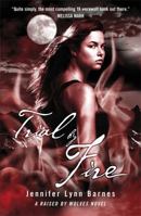 Trial by Fire 1606843338 Book Cover