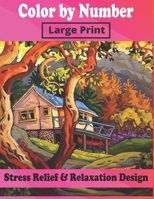 Color By Number Large Print Stress Relief & Relaxation Design: Adult Color By Numbers Large Print Design (Premium Adult Coloring Books) Creative Coloring Book B08J1WX3ZB Book Cover