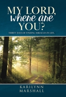 My Lord, Where are You?: Thirty Days of Finding Miracles in Life 0228850096 Book Cover