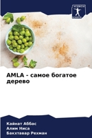 Amla - ????? ??????? ?????? 6206998061 Book Cover