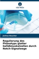 Regulierung des Phänotyps glatter Gefäßmuskelzellen durch Notch-Signalwege (German Edition) 6630169476 Book Cover