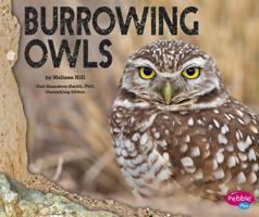 Burrowing Owls 1491460520 Book Cover