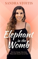 Elephant in the Womb: how to change direction when life doesn't go to plan 0645164119 Book Cover