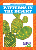 Patterns in the Desert 1645277577 Book Cover