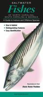 Saltwater Fishes of North Carolina, South Carolina & Georgia: A Guide to Inshore & Offshore Species 1936913003 Book Cover