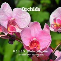 Orchids 8.5 X 8.5 Calendar September 2019 -December 2020: Monthly Calendar with U.S./UK/ Canadian/Christian/Jewish/Muslim Holidays-Flowers Nature Gardening 1074577183 Book Cover