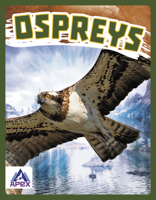 Ospreys 1637381468 Book Cover