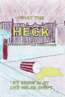 What the HECK happened in this universe!? 1917605420 Book Cover