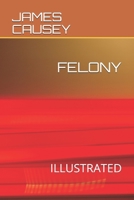 FELONY: ILLUSTRATED 1673024548 Book Cover