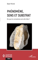 Phénomène, sens et substrat: De quoi la conscience est-elle faite ? (Ouverture Philosophique) (French Edition) 234325365X Book Cover
