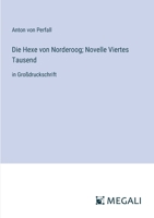 Die Hexe von Norderoog; Novelle Viertes Tausend: in Großdruckschrift (German Edition) 3387070047 Book Cover