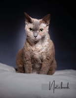 Notebook: Unlined - Unruled - Plain Notebook - Blank Journal - 130 Pages - Large Format 8.5 x 11 in - Workbook - Composition - Cats - Devon Rex Cover Design 1716113156 Book Cover