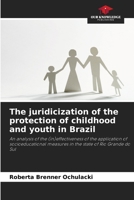 The juridicization of the protection of childhood and youth in Brazil 6205786184 Book Cover