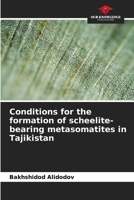 Conditions for the formation of scheelite-bearing metasomatites in Tajikistan 620936828X Book Cover
