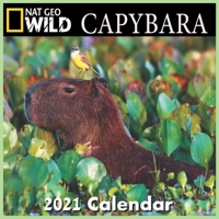 CAPYBARA calendar 2021: CAPYBARA calendar 2021 16 months 8.5 x 8.5 inch finished & glossy B08S8RMPPJ Book Cover