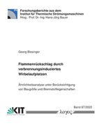 Flammenruckschlag Durch Verbrennungsinduziertes Wirbelaufplatzen.: Ahnlichkeitsanalyse Unter Berucksichtigung Von Baugrosse Und Brennstoffeigenschafte 3832554750 Book Cover