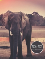 2020-2021 Two Year Planner: Elephant Planner January 1, 2020 to December 31, 2021 Weekly & Monthly Planner + Calendar Views Exotic Animal 2 Year Calendar 24 Month Agenda Planner Gift For Elephant Love 1677432543 Book Cover