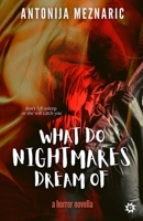 What do Nightmares Dream of 9538360060 Book Cover