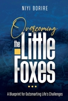 Overcoming the Little Foxes: A Blueprint for Outsmarting Life's Challenges 0645043397 Book Cover