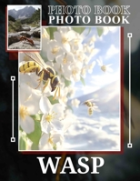 Wasp Photo Book: Exploring Nature's Insect World: Stunning Close-Ups Of Wasps To Fascinate Enthusiasts B0DQ5VMT91 Book Cover