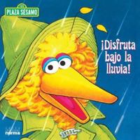 DISFRUTA BAJO LA LLUVIA 9580467099 Book Cover