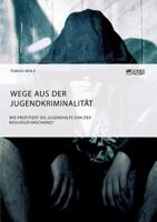 Wege Aus Der Jugendkriminalitt. Wie Profitiert Die Jugendhilfe Von Der Resilienzforschung? 3956875737 Book Cover
