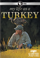 Nature: My Life as a Turkey