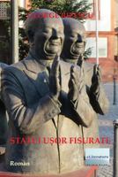 Statui Usor Fisurate: Roman 1977539602 Book Cover