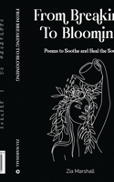 From Breaking to Blooming: Poems to Soothe and Heal the Soul B0CNY1997K Book Cover