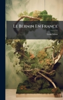 Le Bernin En France (French Edition) 1023753774 Book Cover