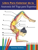 Libro Para Colorear de la Anatomía del Yoga para Expertos: 50+ Ejercicios de Colores con Posturas de Yoga Para Principiantes | El Regalo Perfecto Para ... Maestros y Aficionados 1914207262 Book Cover