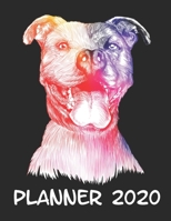 Planner 2020: Planner Weekly and Monthly for 2020 Calendar Business Planners Organizer For To do list 8,5 x 11 with Pitbull Dog Doggy Pet Animal Lover 1708174397 Book Cover
