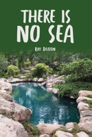 There Is No Sea B0CKKS3H59 Book Cover