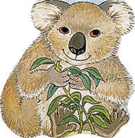 Pocket Koala (Pocket Pals Board Books) (Pocket Pals, No 3) 0859539172 Book Cover
