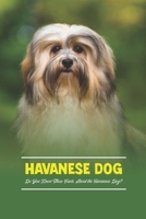 Havanese Dog: Do You Know These Facts About the Havanese Dog? B09TGM8794 Book Cover
