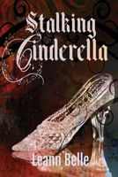 Stalking Cinderella: (A Dark RH Cinderella Retelling) (Vicious Wonders) B0DRLGH8P9 Book Cover