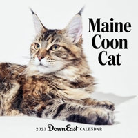 2023 Maine Coon Cat Wall Calendar 1944094288 Book Cover