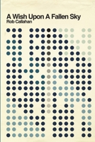 A Wish Upon a Fallen Sky 1105606805 Book Cover