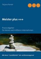 Meister plus +++: Praxisratgeber für kleine und mittlere Unternehmen 3741240516 Book Cover